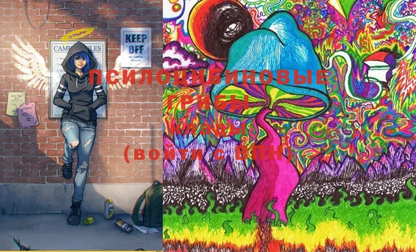 Альфа ПВП Протвино